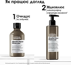 Набір - L'Oreal Professionnel Serie Expert Absolut Repair Molecular (shm/300ml + serum/250ml) — фото N5