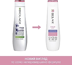 Шампунь для нейтралізації мідних та жовтих відтінків фарбованого волосся - Biolage ColorLast Purple Shampoo — фото N3