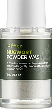 Энзимная пудра для умывания с экстрактом полыни - Isntree Mugwort Powder Wash — фото N2