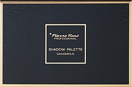 Палетка тіней для повік - Pierre Rene Professional Shadow Palette Dangerous — фото N2