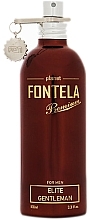 Fontela Elite Gentleman - Парфумована вода (пробник) — фото N1