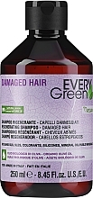 Духи, Парфюмерия, косметика Шампунь восстанавливающий - EveryGreen Damaged Hair Shampoo