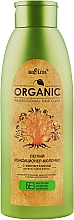 Парфумерія, косметика Легкий кондиціонер-молочко з фітокератином - Bielita Organic Hair Care Conditioner