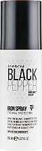 Термозахисний спрей для волосся - Inebrya Balck Pepper Iron Spray — фото N1