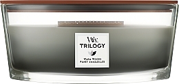 Парфумерія, косметика Ароматична свічка у склянці - Woodwick Hearthwick Flame Ellipse Trilogy Candle Warm Woods