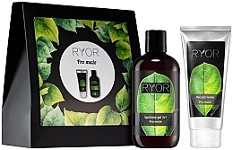 Парфумерія, косметика Набір - Ryor Cosmetic Set For Men (sh/gel/250ml + cr/100ml + towel)