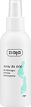 Спрей-дезодорант для ступней, противогрибковый - Ziaja Foot Spray — фото N1