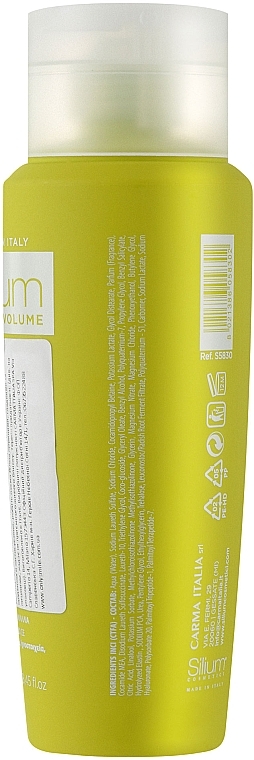 Шампунь-філер для об'єму і ущільнення тонкого волосся з антистатичним ефектом з гіалуроновою кислотою - Silium Antistatic Shampoo — фото N2