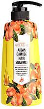 Духи, Парфюмерия, косметика Шампунь для поврежденных волос - Welcos Around Me Argan Damage Hair Shampoo