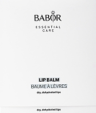 Парфумерія, косметика Набір - Babor Essential Care Lip Balm (lip balm/12х4g)