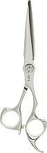 Ножиці перукарські, 6.0 - SPL Professional Premium Hairdressing Scissors 90032-60 — фото N1