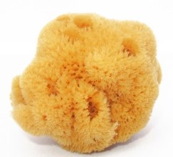 Духи, Парфюмерия, косметика Натуральная морская губка, 8x5см - Attirance Natural Sea Sponge