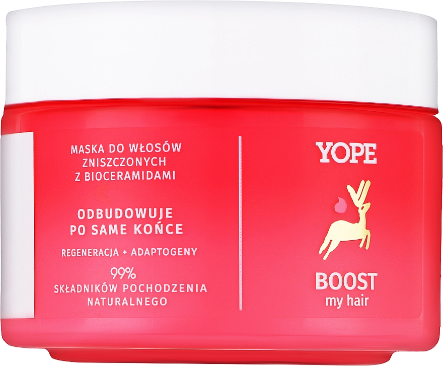 Маска для поврежденных волос - Yope Boost