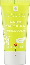 Духи, Парфюмерия, косметика Бамбуковая увлажняющая маска - Erborian Bamboo Waterlock Mask