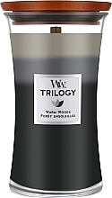 Ароматична свічка у склянці - WoodWick Hourglass Trilogy Candle Warm Woods — фото N2