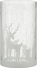 Парфумерія, косметика Підсвічник - Yankee Candle Arctic Forest Jar Holder
