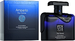 Flavia Ampario - Парфумована вода  — фото N2