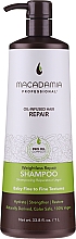 Парфумерія, косметика Невагомий зволожувальний шампунь для волосся - Macadamia Weightless Moisture Shampoo