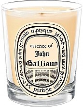Ароматическая свеча - Diptyque John Galliano Candle — фото N1