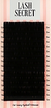 Накладні вії, чорні, 16 ліній (один розмір, 0,07, D, 12) - Lash Secret — фото N1