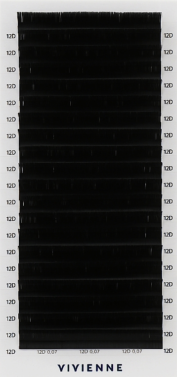 Накладные ресницы "Elite", черные, 20 линий (0,07, D, 12), эко упаковка - Vivienne — фото N1