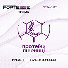 Двухфазный кондиционер-спрей "Питание-блеск" - Fortesse Professional Extra Care — фото N3