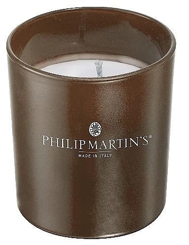Органическая свеча 3 в 1 - Philip Martin's In Oud Organic Candle — фото N1