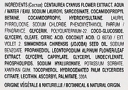 Шампунь для освітленого і сивого волосся - Phyto Phytoargent No Yellow Shampoo — фото N3