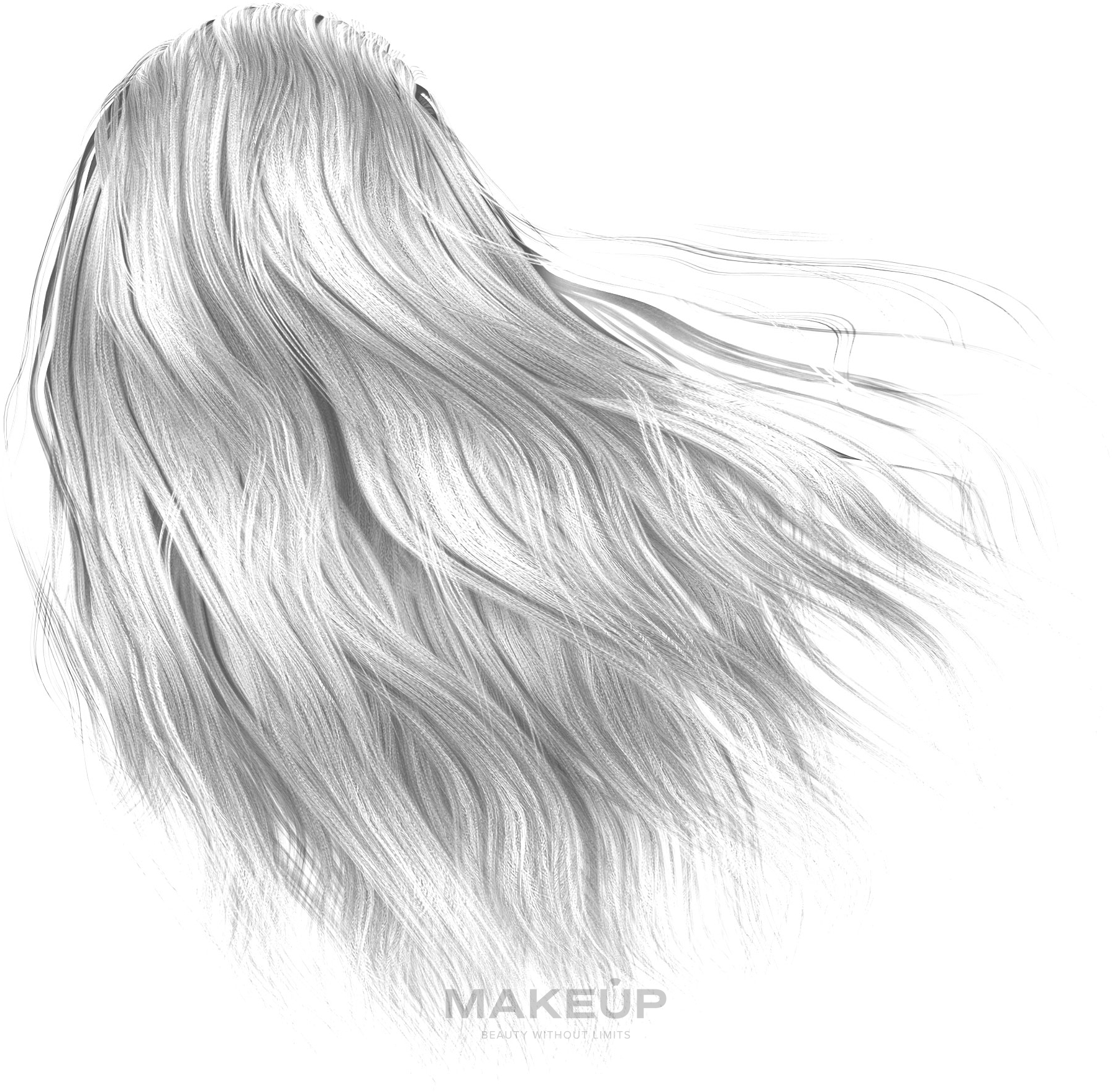Крем-краска для волос - Erayba Equilibrium Mix Hair Color Cream — фото 0/00 - Осветитель бесцветный
