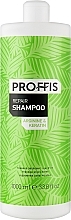 Відновлювальний шампунь для пошкодженого волосся - Proffis Repair Shampoo — фото N1