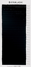 Вії для нарощування B 0.07 (6-13мм), 25 ліній, чорні - Divalashpro — фото N1