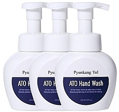 Духи, Парфюмерия, косметика Набор - Pyunkang Yul ATO Hand Wash (h/wash/3x250ml)