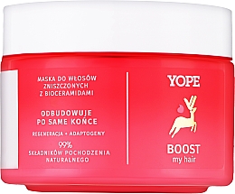 Маска для пошкодженого волосся - Yope Boost — фото N1