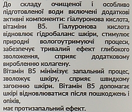 Гіалуроновий загоювальний, регенерувальний засіб для перманентного макіяжу - Ojiwi Healing Serum — фото N2