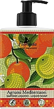 Парфумерія, косметика Мило рідке "Середземноморські цитруси" - Florinda Mosaici Italiani Liquid Soap