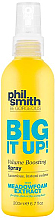 Парфумерія, косметика Спрей для збільшення об'єму - Phil Smith Be Gorgeous Big It Up Volume Boosting Spray
