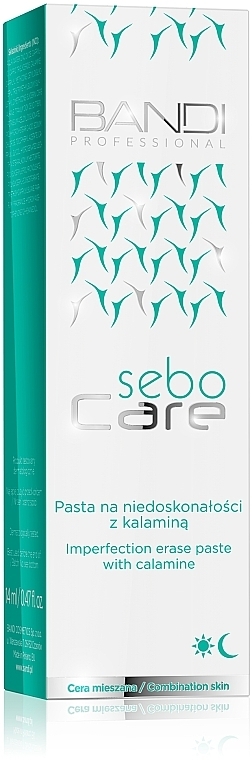 Паста для точечного применения от несовершенств - Bandi Professional Sebo Care Imperfection Erase Paste — фото N2