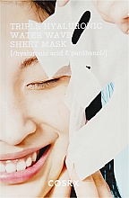 Інтенсивна зволожувальна маска - Cosrx Hydrium Triple Hyaluronic Water Wave Sheet Mask — фото N1