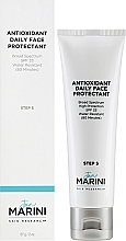 Антиоксидантний сонцезахисний крем зі зволожувальною дією SPF 33 - Jan Marini Antioxidant Daily Face Protectant Spf 33 — фото N2
