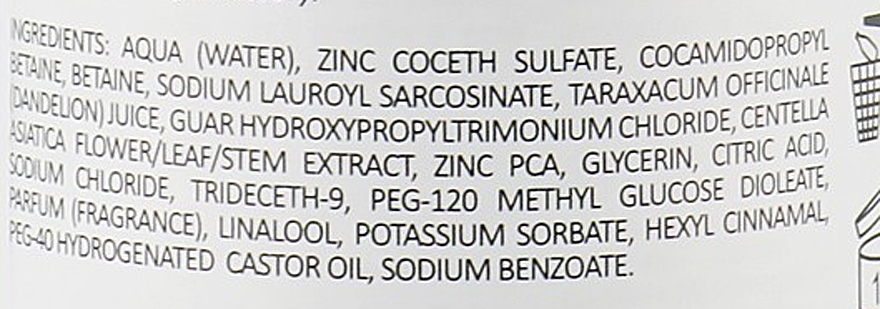 Шампунь для жирного волосся - Bothea Botanic Therapy Seboriequilibrante Shampoo pH 4.5 — фото N3