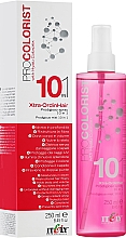 Двофазний спрей для волосся 10 в 1 - Itely Hairfashion Pro Colorist Xtra Ordinhair — фото N2