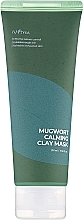 Глиняная маска для лица с экстрактом полыни - Isntree Mugwort Calming Clay Mask — фото N1