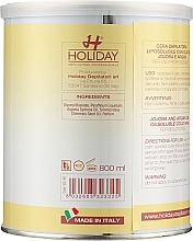 Воск для депиляции с маслом арганы и жожоба - Holiday Depilatory Wax Jojoba & Argan Oil  — фото N3