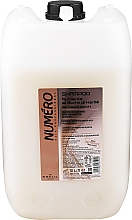 Шампунь з маслом каріте і авокадо - Brelil Numero Nourishing Shampoo With Shea Butter — фото N5
