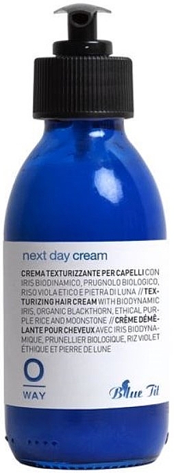Текстурирующий крем для волос - Oway Next Day Cream Blue Tit — фото N1