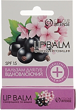 Бальзам для губ "Смородина и вишня" - Colour Intense Balamce Lip Balm — фото N2