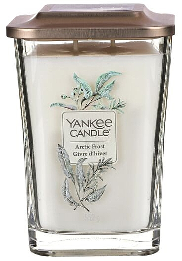 Ароматическая свеча - Yankee Candle Elevation Artic Frost Candle — фото N3