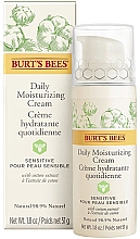 Увлажняющий крем для лица - Burt's Bees Sensitive Daily Moisturizing Cream — фото N2