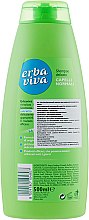 Шампунь з екстрактами бамбука і алое для нормального волосся - Erba Viva Hair Shampoo — фото N2