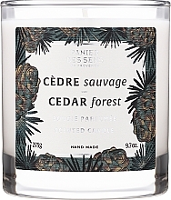 Парфумерія, косметика Ароматична свічка у склянці "Кедровий ліс" - Panier Des Sens Scented Candle Cedar Forest